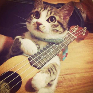 美欧做爱免费网站
