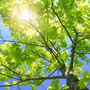 美欧做爱免费网站
